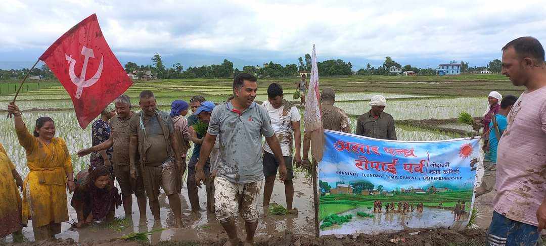 गोदावरी -५ मा एमालेको रोपाइँ कार्यक्रम सम्पन्न